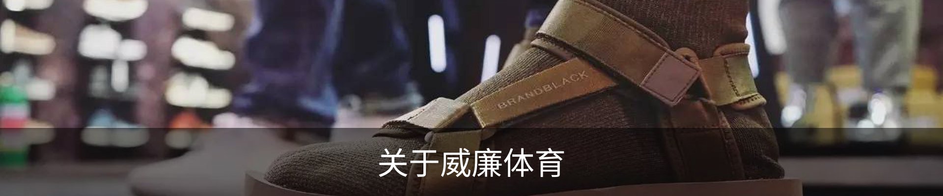 关于威廉体育